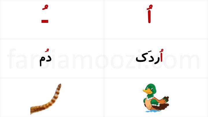 نشانه «اُ ـُ» | FarsiAmoozi