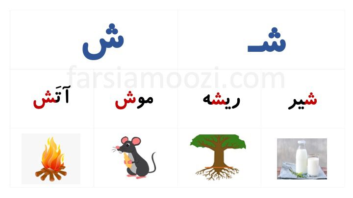 اشکال حرف شین با مثال|کلمات با نشانه ش